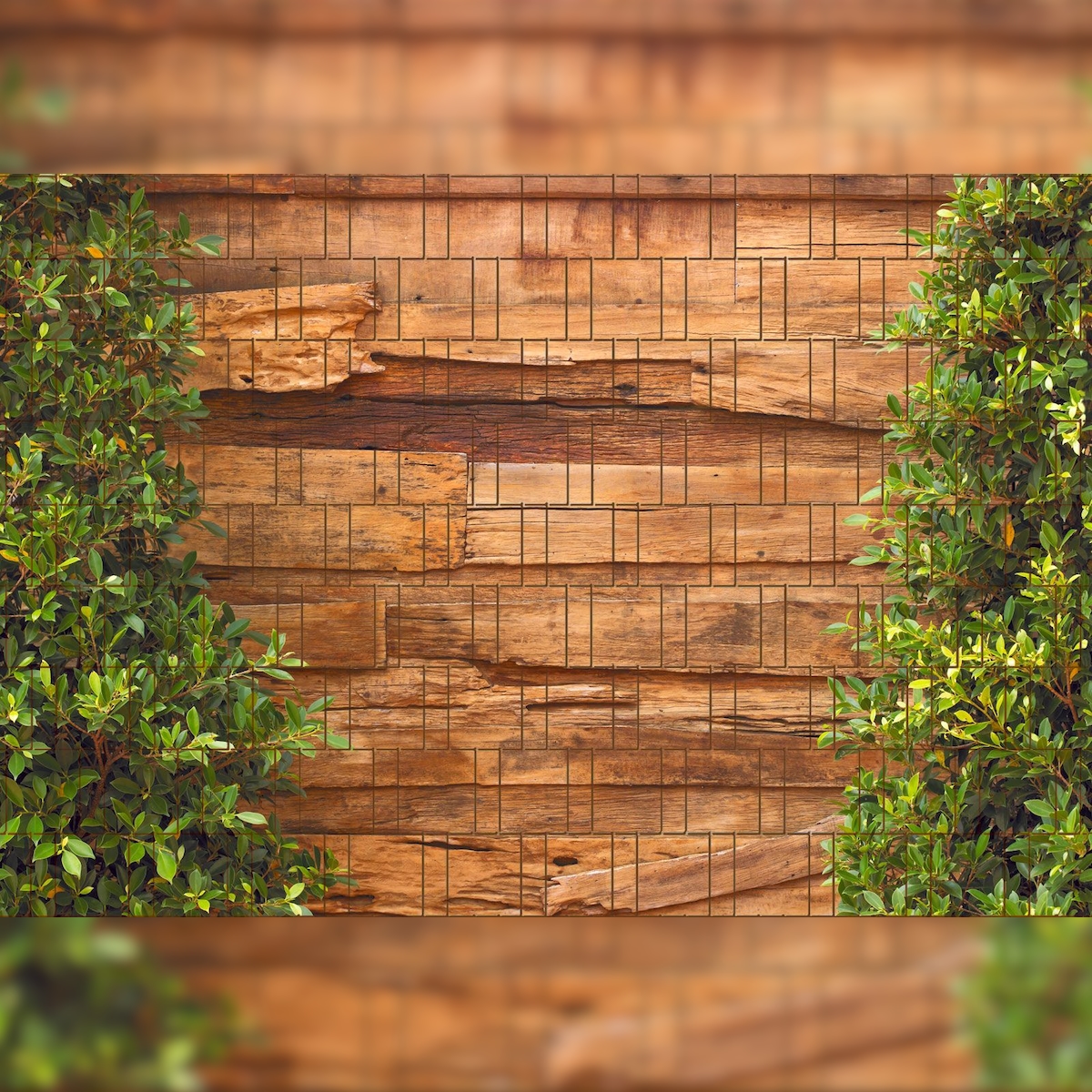 zaun|zu® Sichtschutz Holz & Lorbeer - Bedruckter Sichtschutz 2,5m x 1,8m Image
