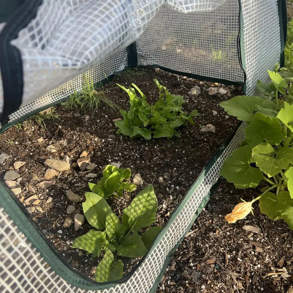 Obst- und Gemüseschutzkäfig, wetterfeste Pflanzenabdeckung, Pop-up-Netz, Pflanzengewächshausabdeckung für erhöhte Sämlinge für den Garten