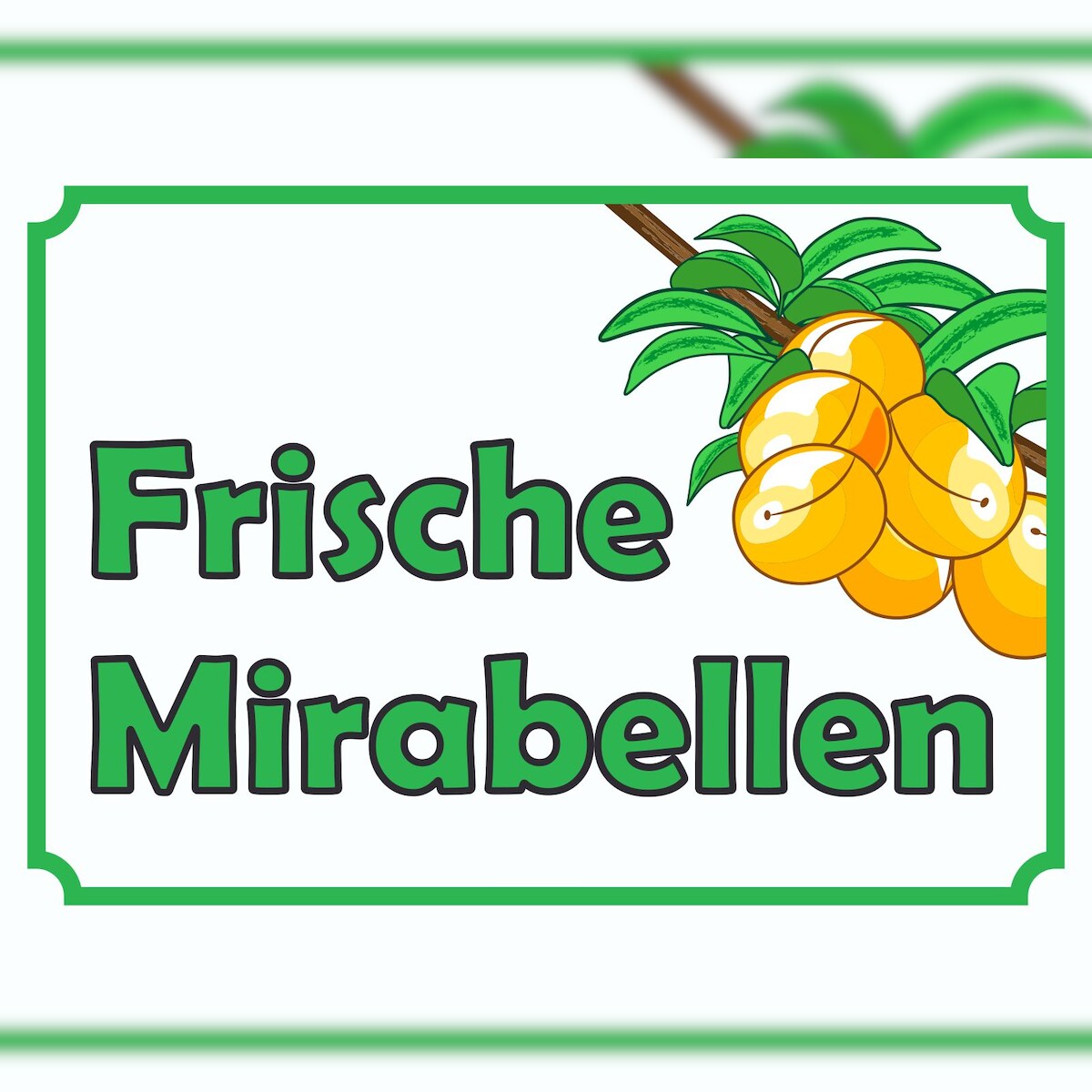 HB-Druck Frische Mirabellen Verkaufsschild Hofladen Verkaufsförderung A1 Rückseite selbstklebend Image