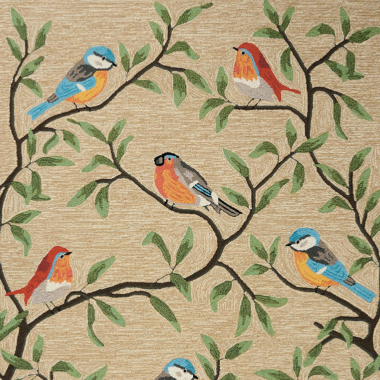 Songbird Hand Tufted Outdoor Rug - 7'6" X 9'6" - Grandin Road