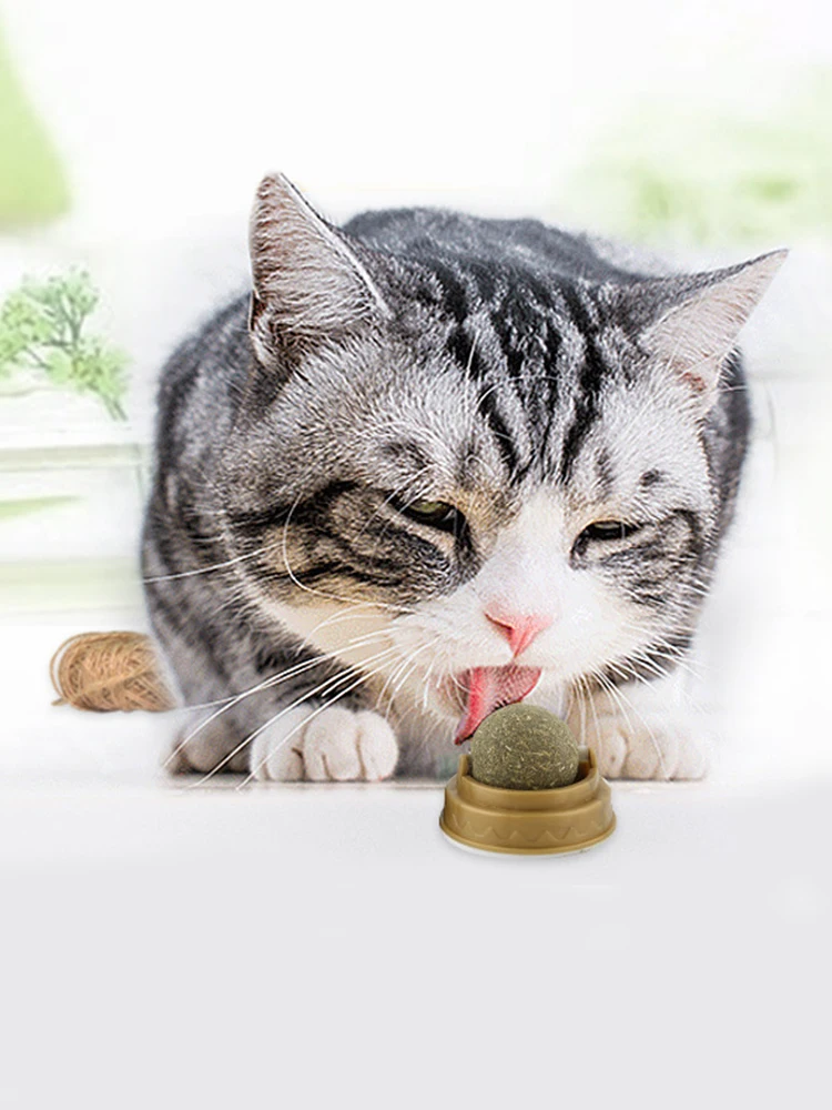 Gesunde Katzenminze-Spielzeuge zum Aufkleben, Zahnreinigungs-Katzenminze-Snackball, entfernt Haarballen, fördert die Verdauung, mit Staubschutz, Haustierzubehör Image