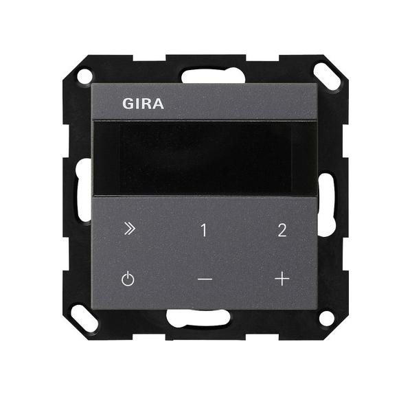 Gira UP-Radio IP 232028 Image