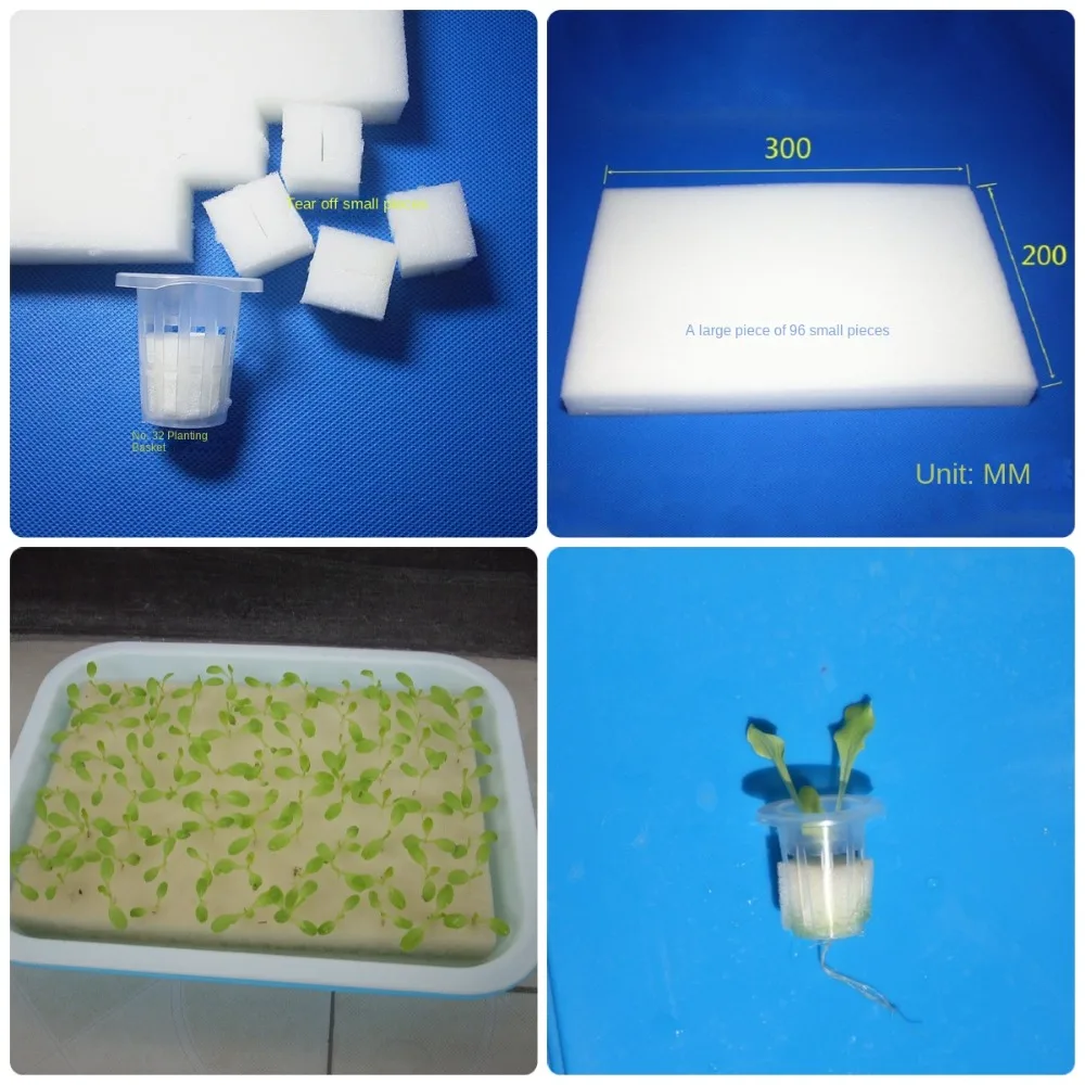 30*20cm hydro po nischer Gemüses chwamm super absorbierend 96 Vertiefungen Baums chwamm Pflanzen blume ohne Kanten Sämling ausrüstung Image