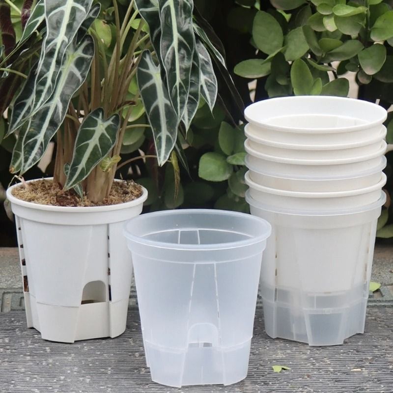 Transparent Self Watering Plant Pot With Drainage For Indoor Outdoor Plants black Large