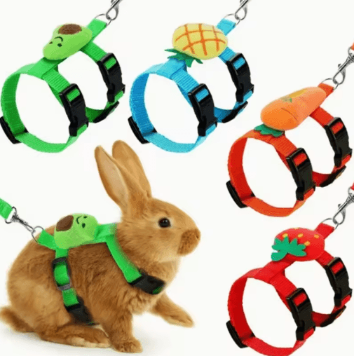 Adjustable Rabbit Harness And Leash Set For Small Animals Cute And Secure Outdoor Walking Gear orange