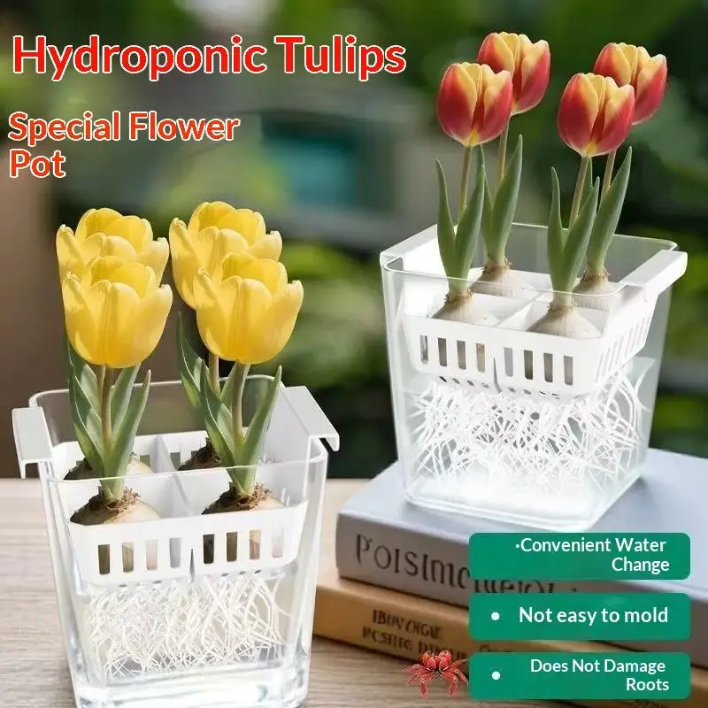 【Nice】Hydrokulturbehälter mit atmungsaktivem Stützkorb, Hydrokultur-Blumentopf für Tulpen, 4 Löcher, blumentopf ohne Erde, für Zuhause Image