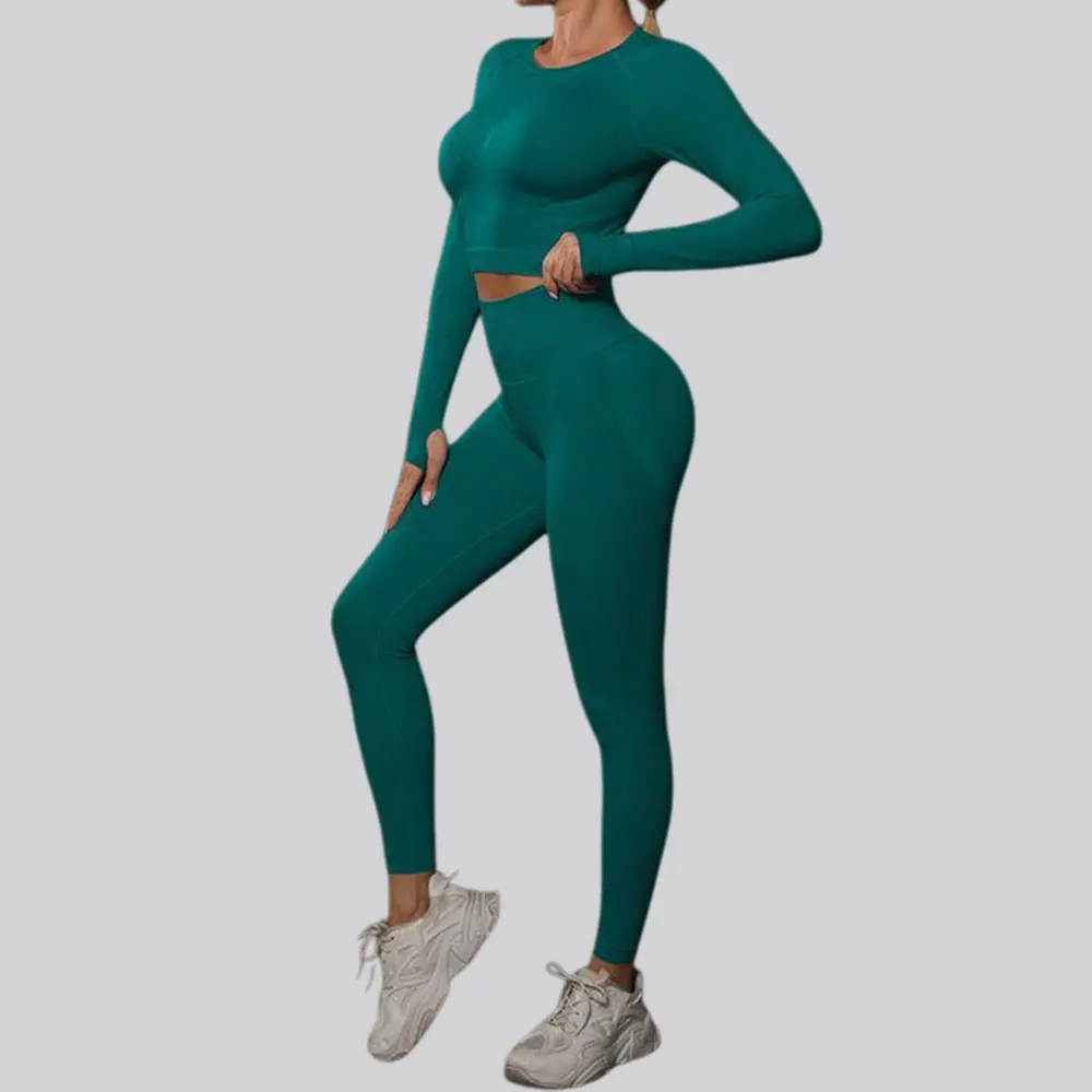 2 pièces pantalons sans couture ensemble de Yoga vêtements d'exercice de gymnastique femmes costume de sport solide Fitness manches longues Leggings pantalon vêtements de sport d'entraînement