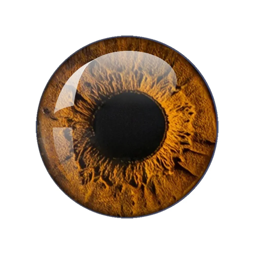 14mm Glas EyeCabochon Runde Kuppel Drachen Auge Drachen Katzenauge Spielzeug DIY Schmuck Zubehör MIX Schüler Auge Cameo Geschenke an Freund Image