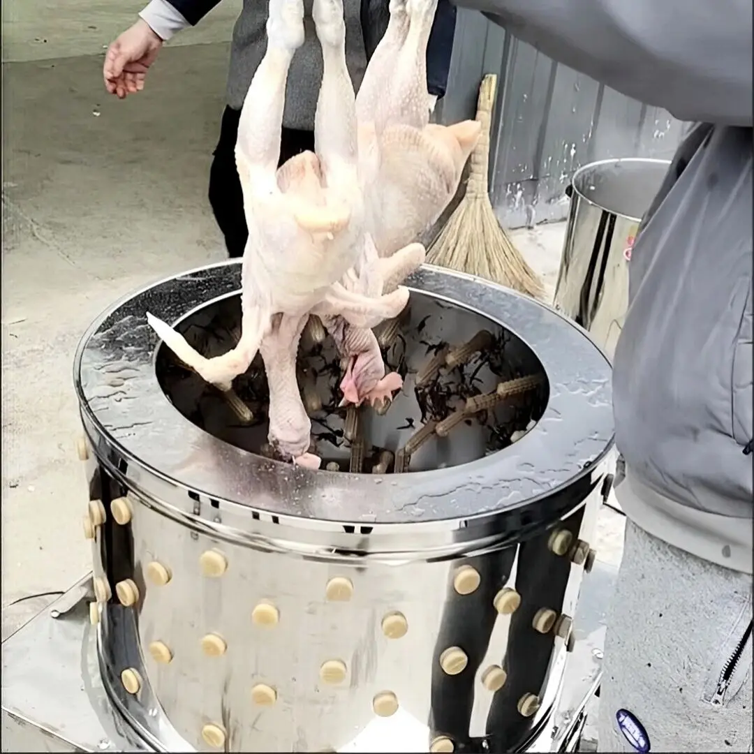 Geflügel-Haarentferner für Bauernhöfe, Hühnerzupfer für den Afrika-Markt, Enten- und Truthahn-Federentferner-Maschine, automatischer Haarzupfer Image