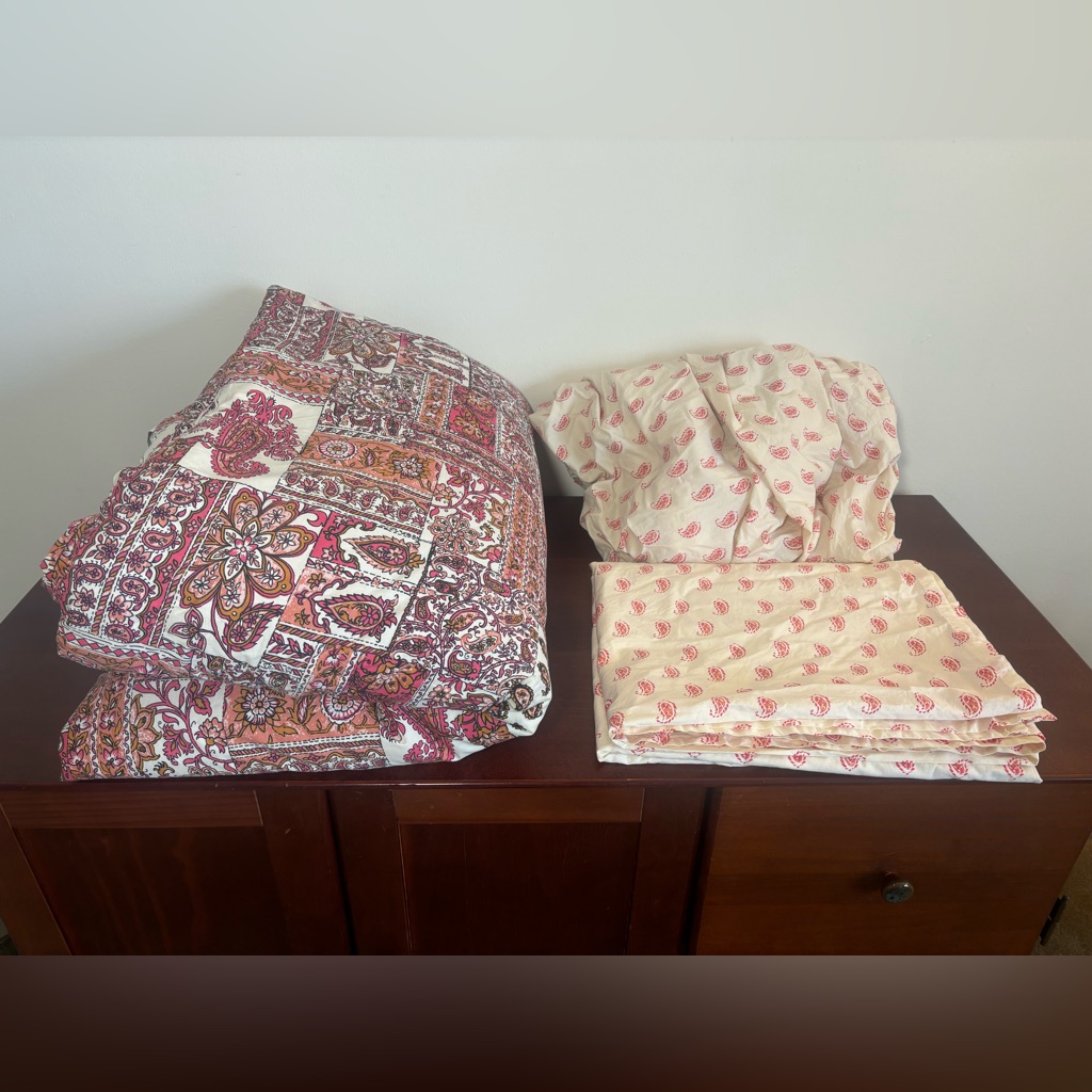 American Eagle Outfitters Bedding | American Eagle Floral Paisley Twin Size Bedding Set | Color: Cream/Pink | Size: Twin