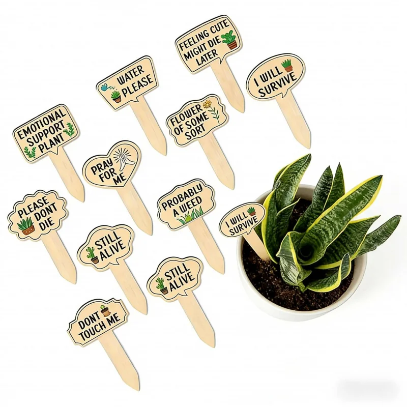 Holzschild mit Sukkulenten-Motiv, 15 kreative Blumentopf-Etiketten für grüne Pflanzen im Innen- und Außenbereich, Namensschilder, Gartenzubehör Image