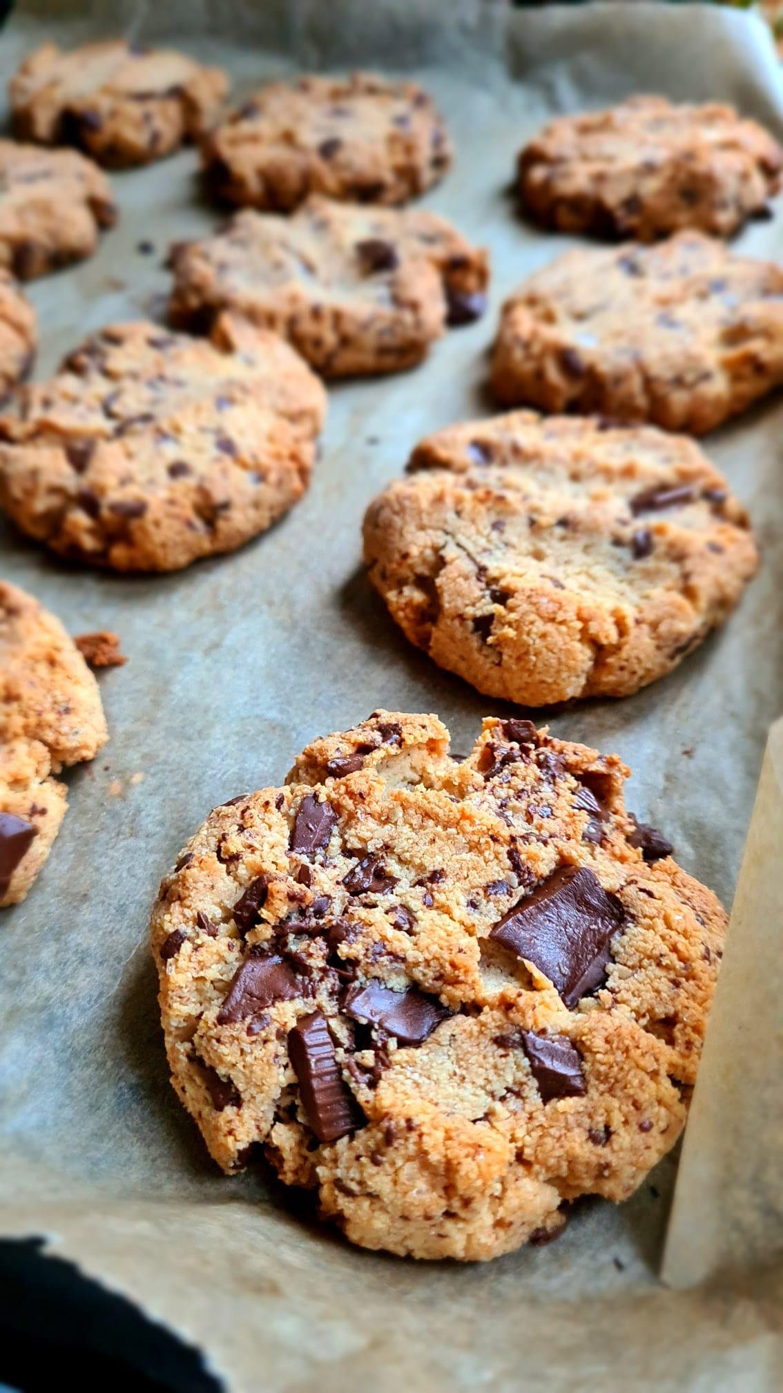 RICETTA Biscotti con gocce di cioccolato senza glutine, Biscotti vegani, Ricette per biscotti, Biscotti, Ricetta digitale, Ricettario, Dessert