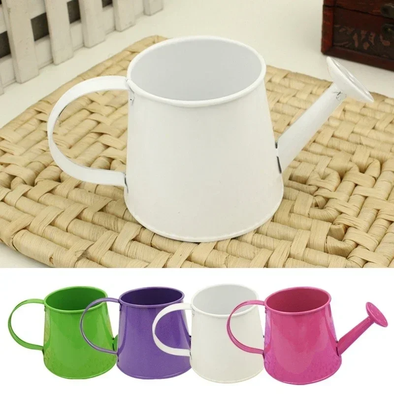 Mini-Gießkessel, Zinn, Blumentopf, Heimdekoration, kleiner Eimer, Anordnung, Sukkulenten, Garten, Pflanzen von Topfpflanzen Image