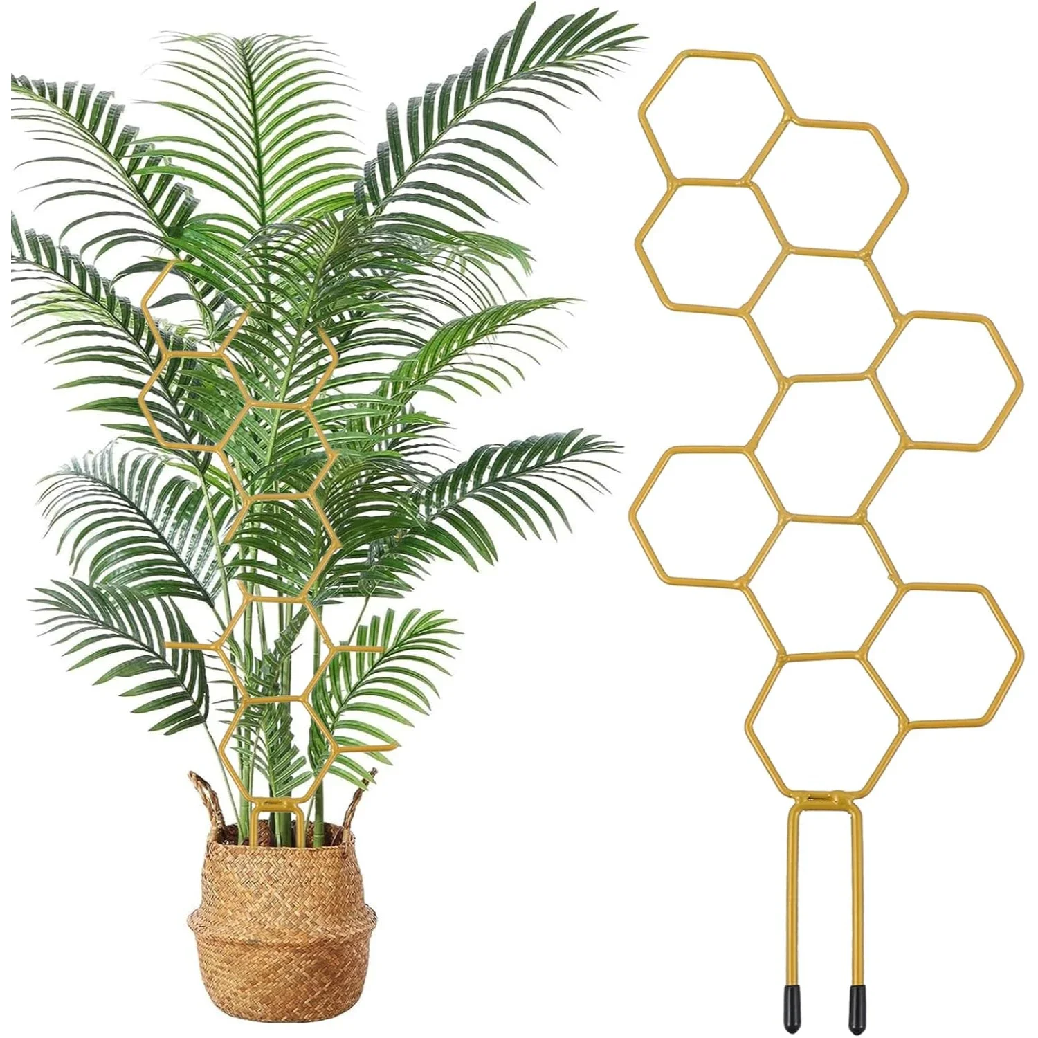 Pflanzengitter für Innenräume Kleines Gitter für Topfpflanzen Wabenförmiges Metall-Pothos-Pflanzenklettergerüst Image