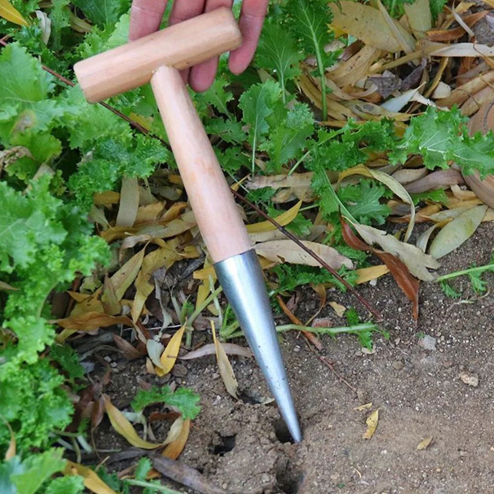 Outil de jardin Dibber à main, Dibber de jardin en acier inoxydable avec manche en bois pour semis, transplantation, plantation, creuser des ampoules