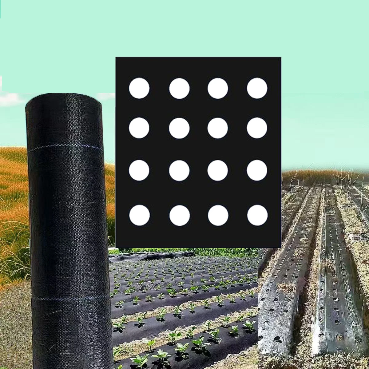 Langlebige Perforierte Unkrautbarriere 1*10/20M Bodenabdeckung Pflanzen Anti-Gras-Folie Mulch für Gemüsegärten Gartenbau Image