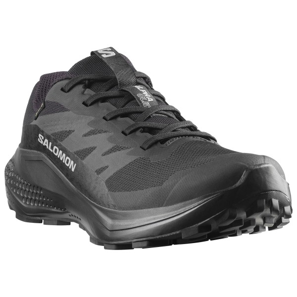 Salomon - Women's Alphaglide GORE-TEX - Trailrunningschuhe 44 | EU 44 grau