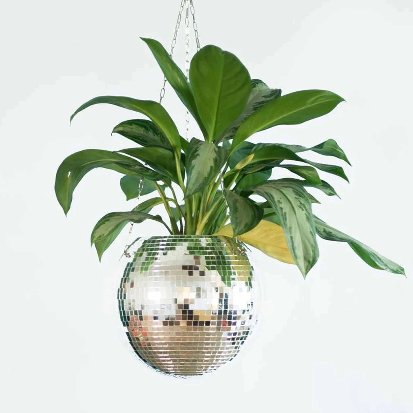 1PC Disco Ball Pflanzer Globus Form Hängen Vase Blumentöpfe Seil Wand Home Decor Container zimmer dekoration Image