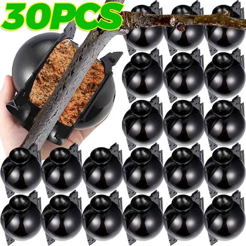 5/30PCS Anlage Verwurzelung Ball Pfropfen Verwurzelung Box Zucht Fall Hochdruck Anlage Wurzel Wachsenden Box Für Garten pflanzen Liefert Image
