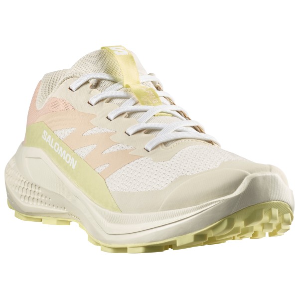 Salomon - Women's Alphaglide - Trailrunningschuhe 43 1/3 | EU 43 beige