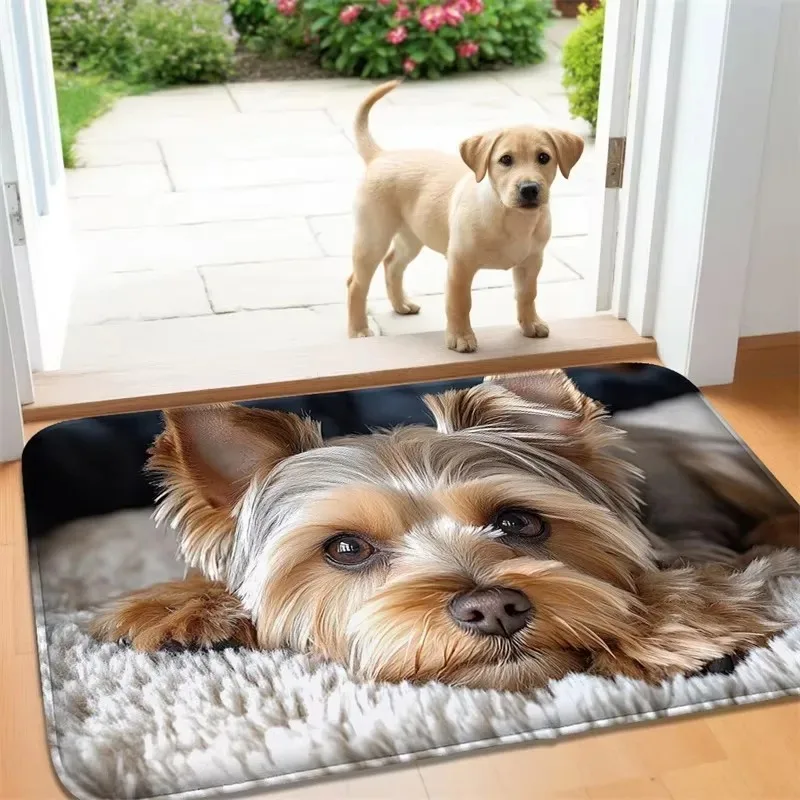 Cute Animal Welcome Doormat Kitchen Rug Bathroom Mat Washroom Floor Mat Carpet for Entrance Door Door Mat Funny Home Decoration