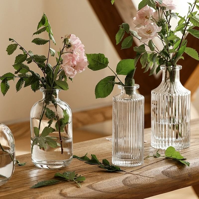 Mini Transparent Nordic Glass Vase High Performance Hydroponic Plant Vase & Modern Living Room Ornament s2