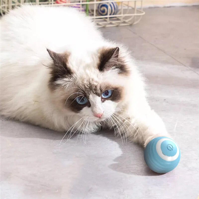 Interactive Cat Toy Ball Self Moving Electronic Rolling Ball For Kitten Training blue