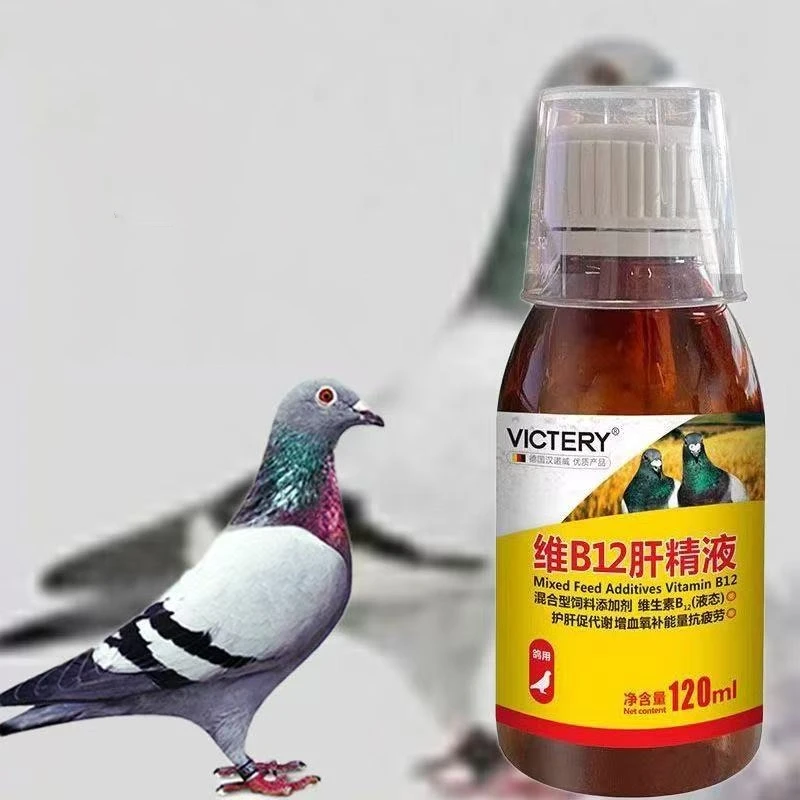120ml Rennbrieftauben-Tonikum Vitamin B12 Leberergänzungsmittel für Energie, Schnelleres Erholen und Schnelleres Absaugen von Milchsäure Image