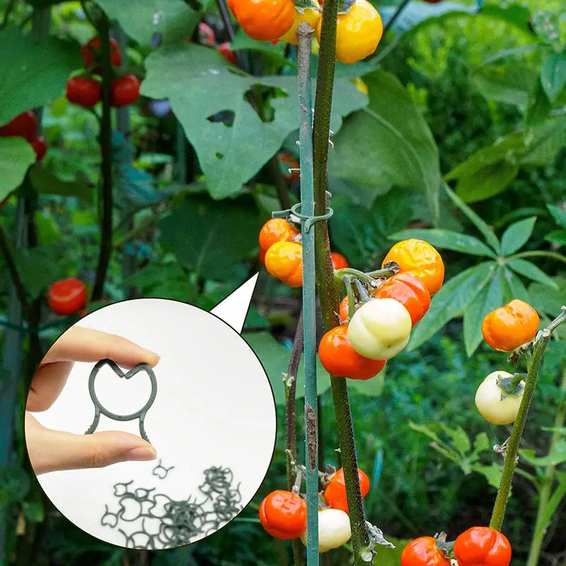 100/200 Stück Gartenclips Pflanzenstützclips Kletterclips ​ Schmetterlingsschnalle mit Großbuchstaben und Pflanzenmotiv zum Binden Image