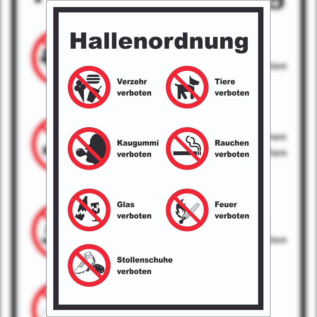 HB-Druck Aufkleber Hallenordnung A6 (105x148mm) Image