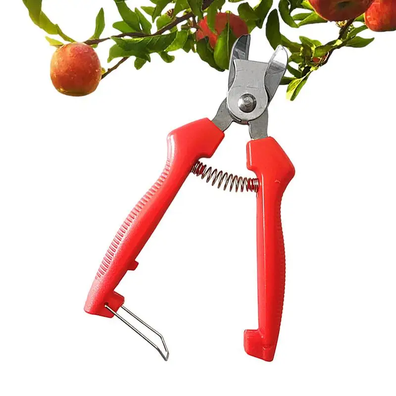 Sécateur ergonomique en acier inoxydable, coupe incurvée, outils à main de jardinage, conception incurvée, pommes, poires