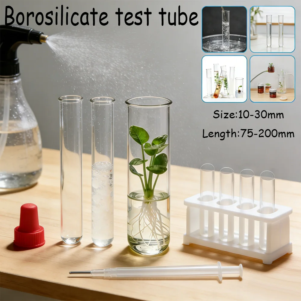 5 Stück Glas-Reagenzgläser zur Pflanzenvermehrung, Rundboden-Borosilikatfläschchen Ideal für Hydroponik & DIY Heimdekoration Image