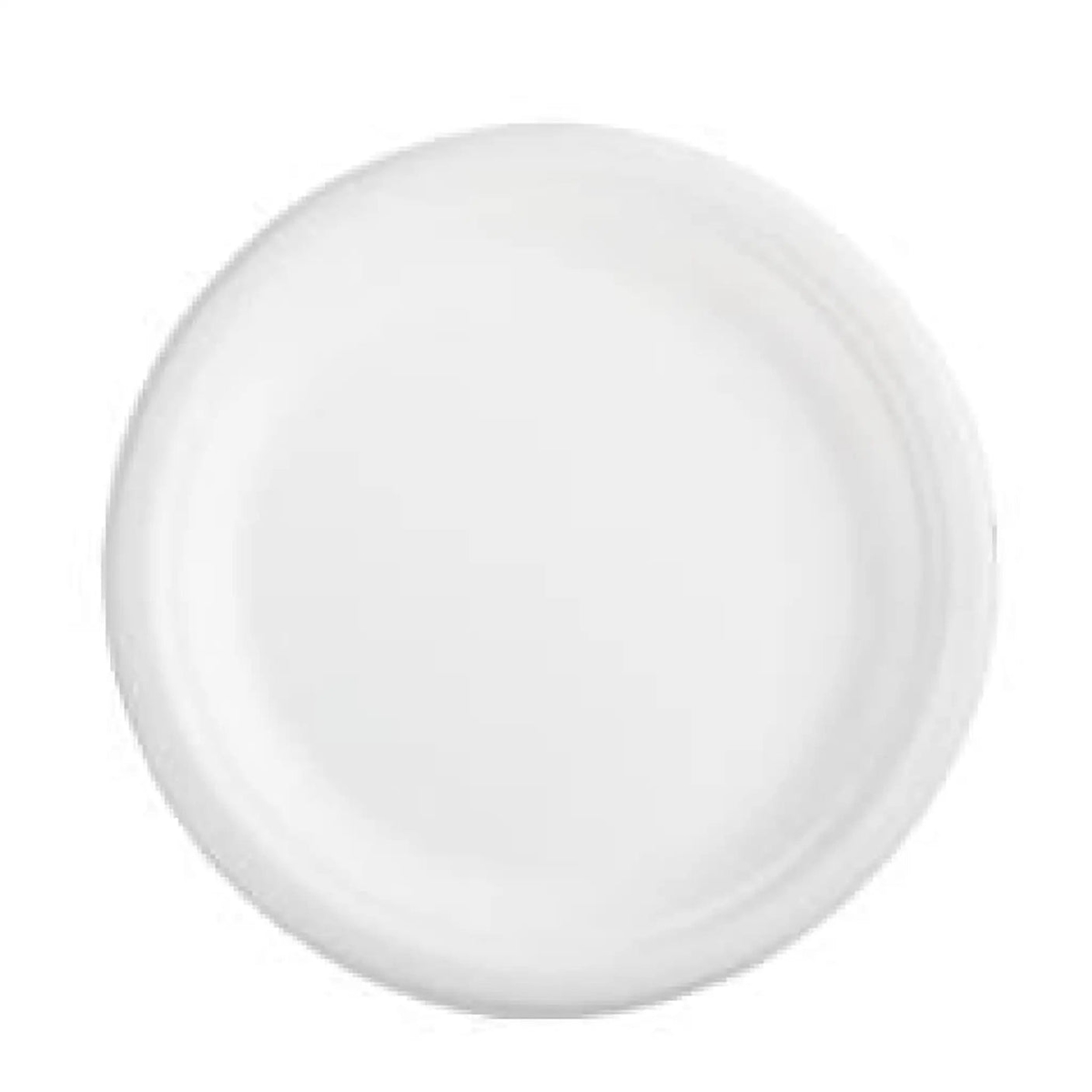 RyanPack Bagasse Teller aus Zuckerrohr – 26 cm – 500 Stück (10x50) Image