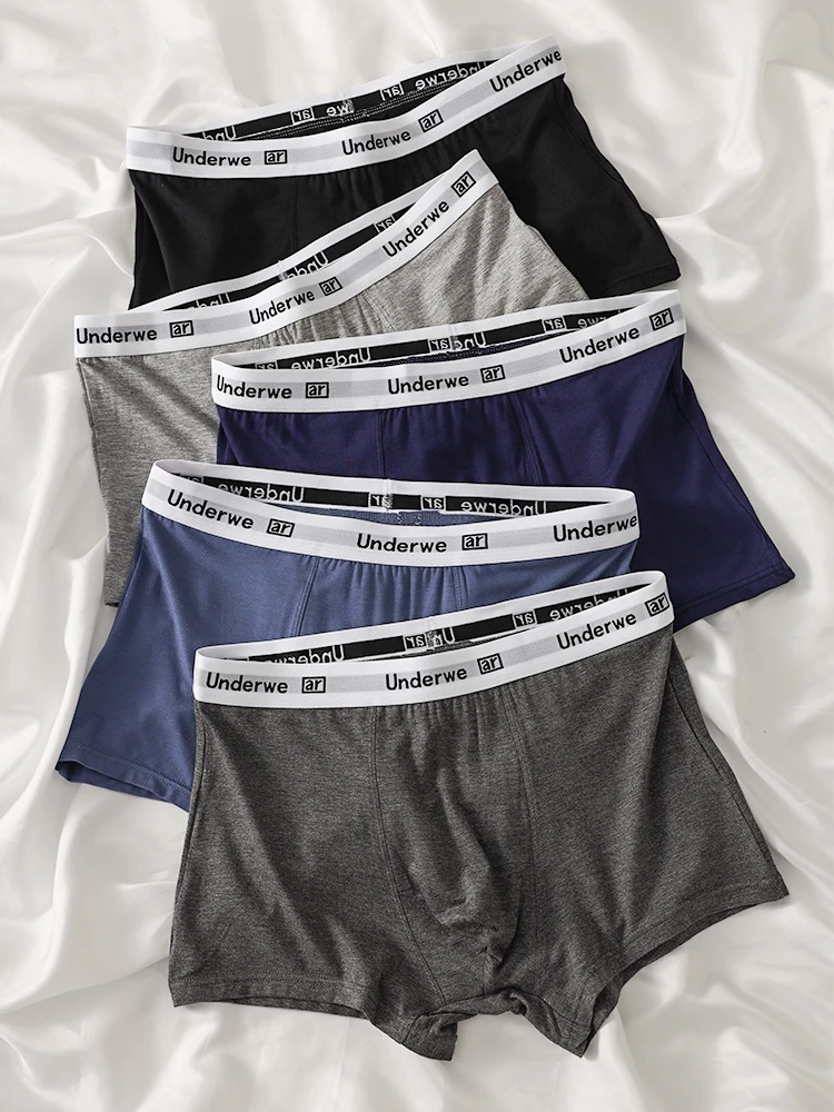 5er-Pack Viskose-Boxershorts für Herren – „Underwe“-Bund, weich, 5 Farben Image