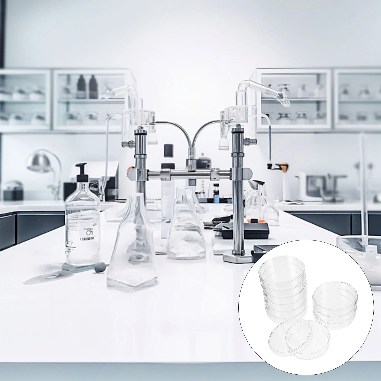 10 Stück stapelbare Petrischalen 90 mm x 15 mm Glaskulturplatte Laborzellkulturschale für wissenschaftliche Experimente Agarplatten Mykologie Image