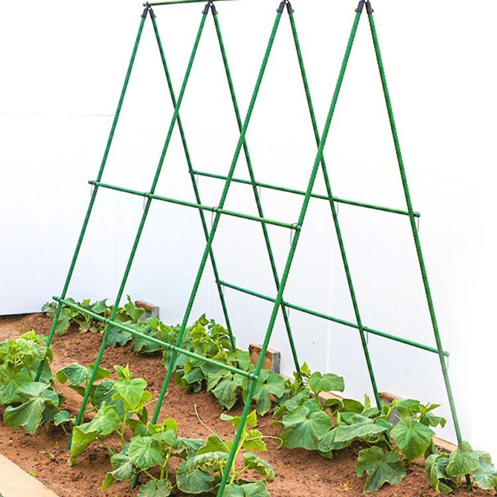 Kletterstangen, Gurke, grüne Bohnen, Spalier, Tomatenspalier, Stützstangen für Gemüsepflanzen, umwickelte, mit Kunststoff beschichtete Stahlrohre Image