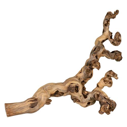 Pied de vigne sablé pour terrarium Trixie 40 60 cm