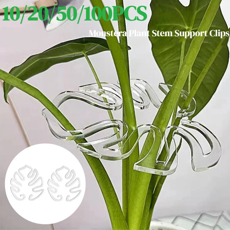 10/20/50/100 Stück Monstera-Pflanzenstamm-Stützclips aus Kunststoff, Moosstangen-Pflanzenstäbe für Zimmerpflanzen, halten Pflanzen im vertikalen Wachstum Image