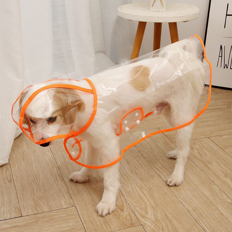 Cross Border Pet Supplies Dog Raincoat Teddy Small And Medium-sized Dogs New Transparent Plastic Fashion Poncho Pet Raincoat