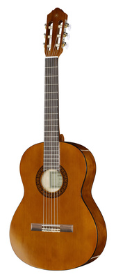 Yamaha LTD CS45