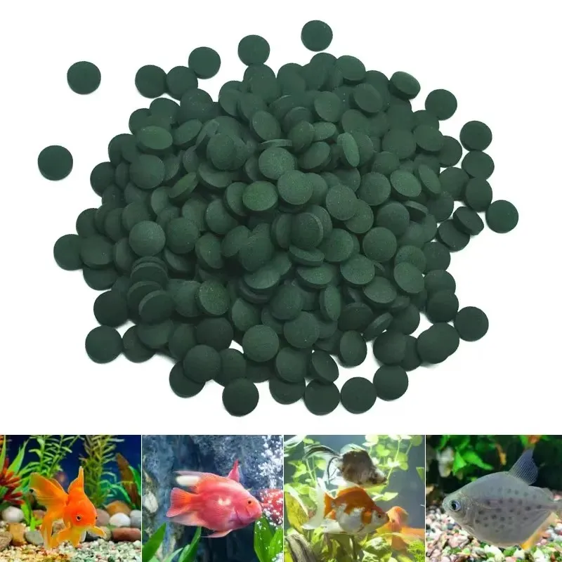100-1500 Stück Fischfutter Spirulina-Tabletten, Angereichertes Lieblingsfutter für Fische, Kristallrote Garnelen, Aquarium-Zubehör Image