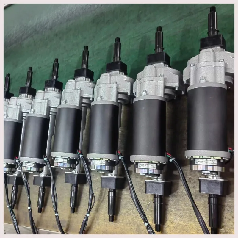 24V 250W DC-Motor Transaxle Hinterachse Differential für Go-Kart Buggy Trike ATV Elektrofahrzeug Image