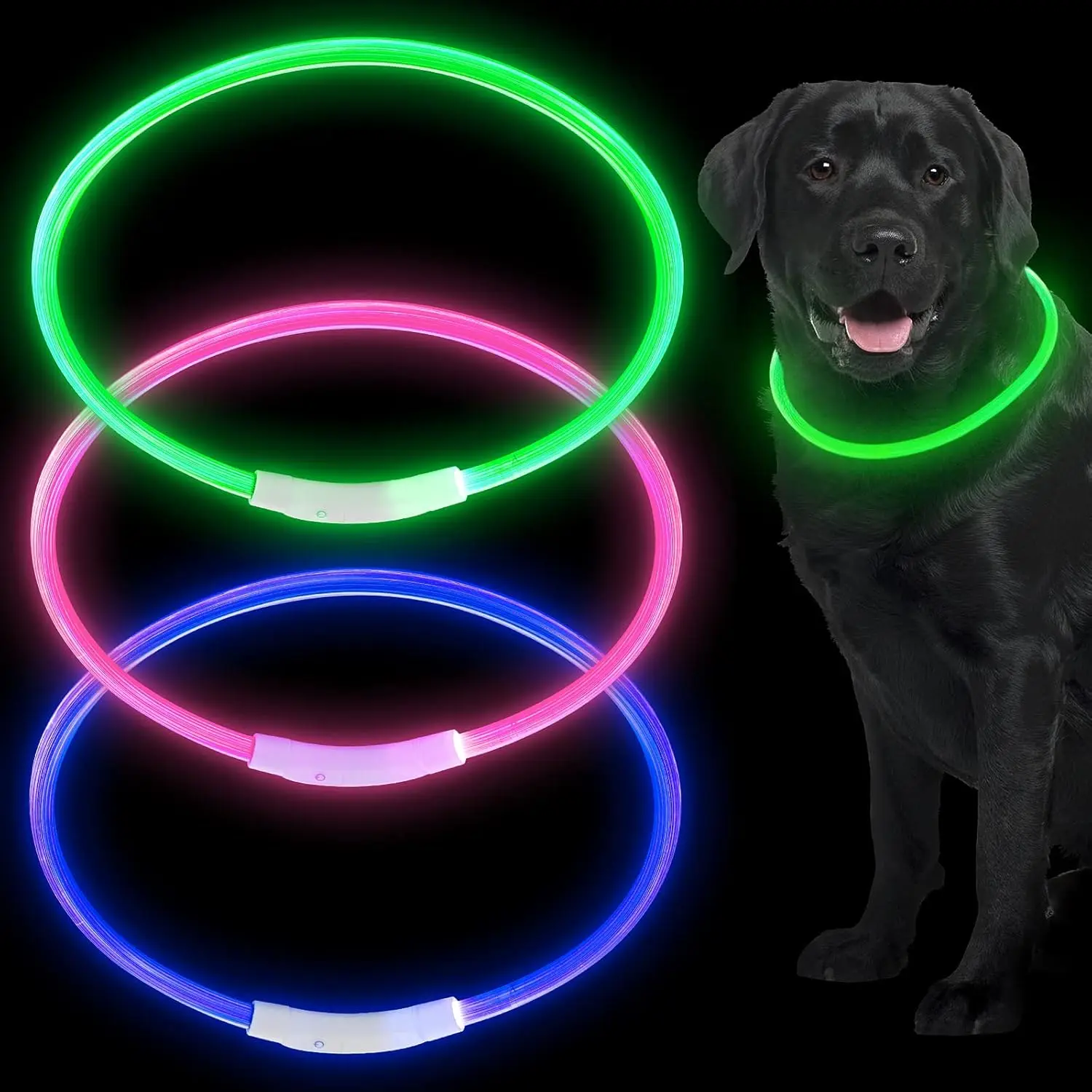 Luce di sicurezza ricaricabile USB collare per cani regolabile in luce per la camminata notturna collare per animali domestici con luce per cani di piccola taglia