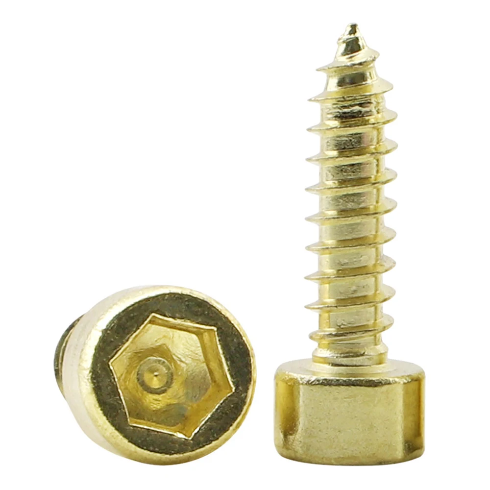100 pz/borsa 304 in acciaio inox placcato oro esagono esagonale testa presa autofilettante vite per altoparlante M1.7 M2 M2.3 M2.5 M3 M4 M5 M5 M5