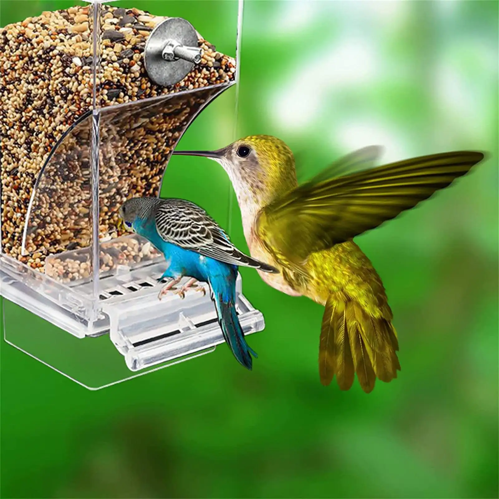Card image cap