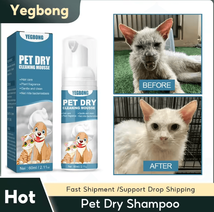 Waterless Pet Dry Shampoo Foam For Dogs And Cats Odor Control And Gentle Cleaning Waterless Pet Dry Shampoo Foam For Dogs And Cats Odor Control And Gentle Cleaning