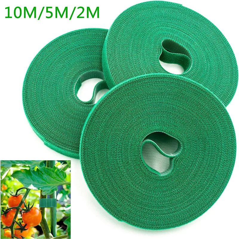 10M/5M/2M Grün Garten Schnur Anlage Krawatten Nylon Anlage Verband Garten Haken Schleife Bambus riet Wrap Unterstützung Garten Zubehör