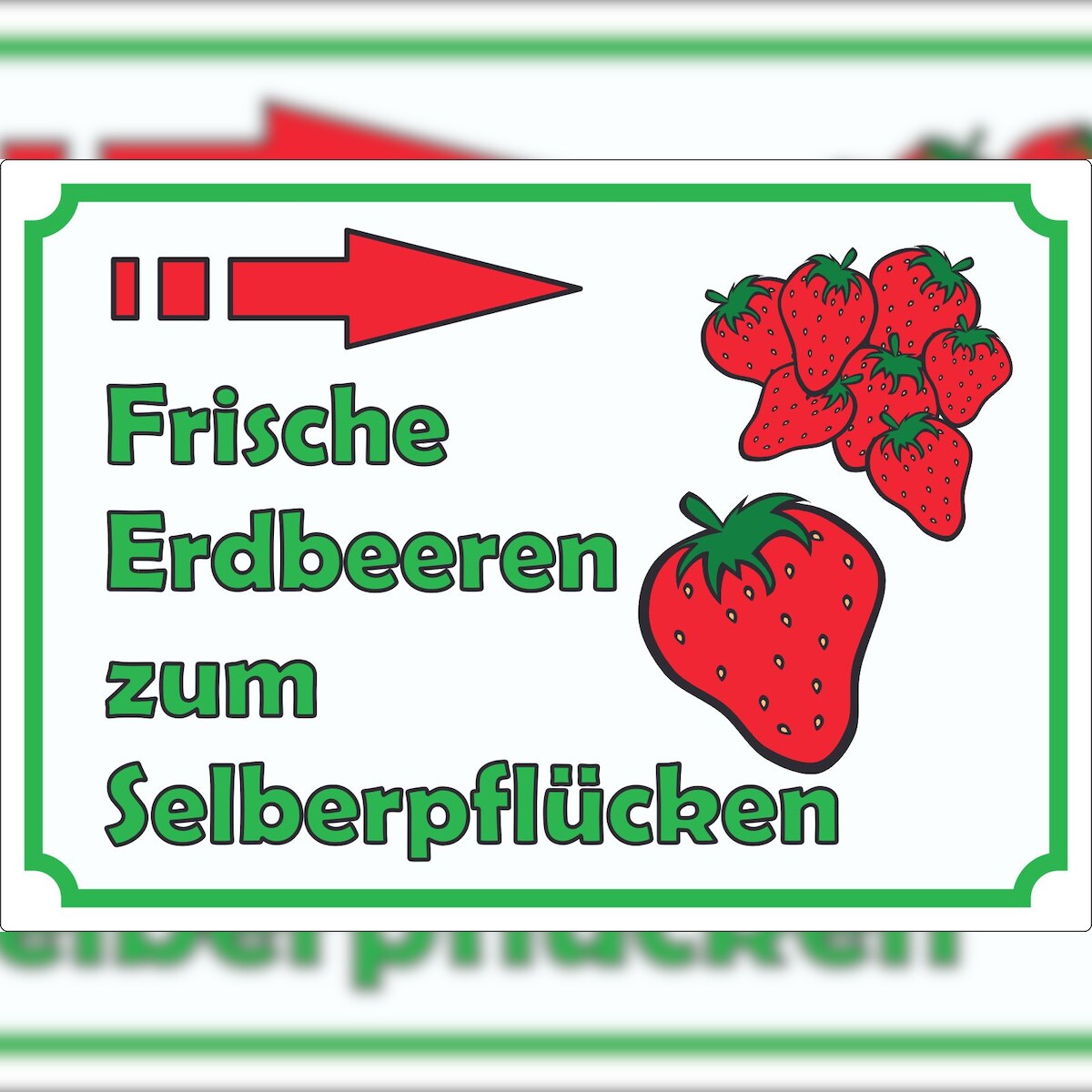 HB-Druck Werbeaufkleber Aufkleber Erdbeeren zum selberpflücken mit Pfeil nach rechts A6 (105x148mm) Image