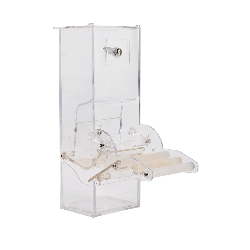 Mangeoire automatique en plastique pour perroquets et pigeons mangeoire pour oiseaux en acrylique mangeoire pour cage à oiseaux