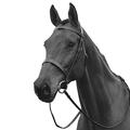 Kincade Hunt Style Cavesson Bridle - Black Full